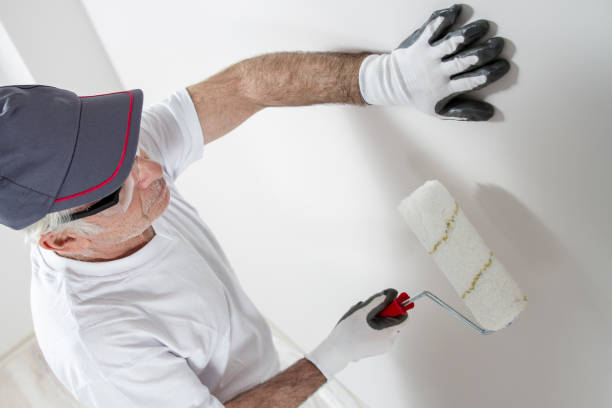Environmental Consulting for Mold Prevention in Boonville, MO